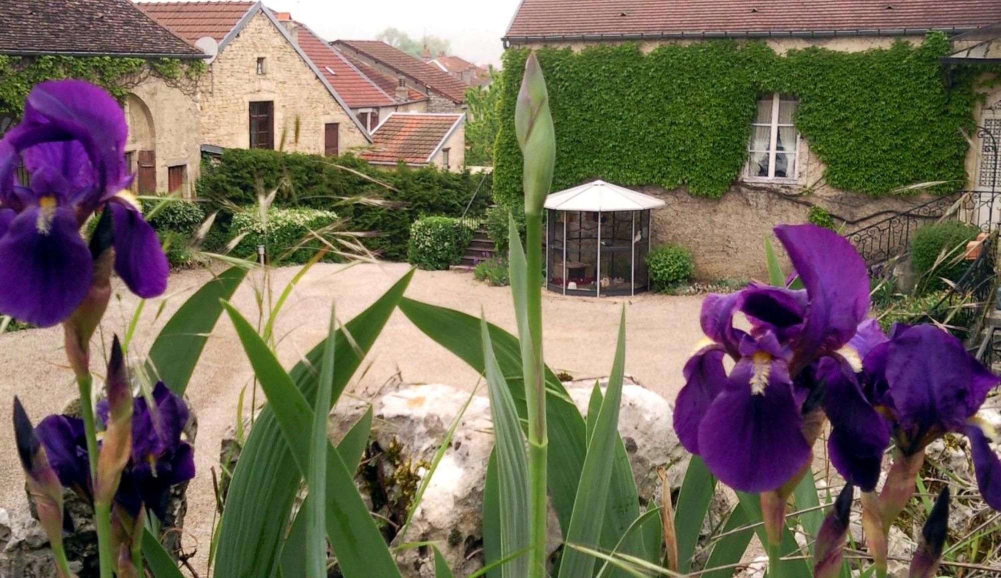 Le Chateau De Prauthoy 외부 사진